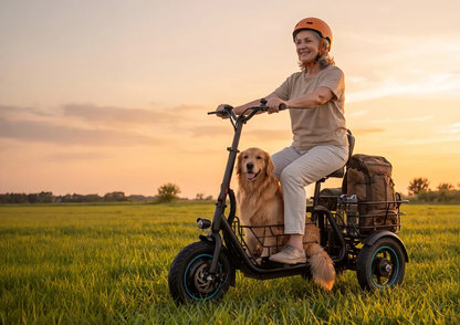 Gyroor   C5   Electric   Trike   –   1000W   Peak,   30-Mile   Range   &   Dual   Baskets