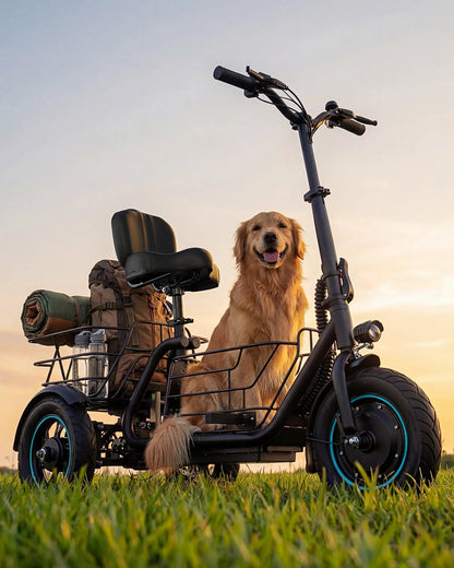 Gyroor   C5   Electric   Trike   –   1000W   Peak,   30-Mile   Range   &   Dual   Baskets