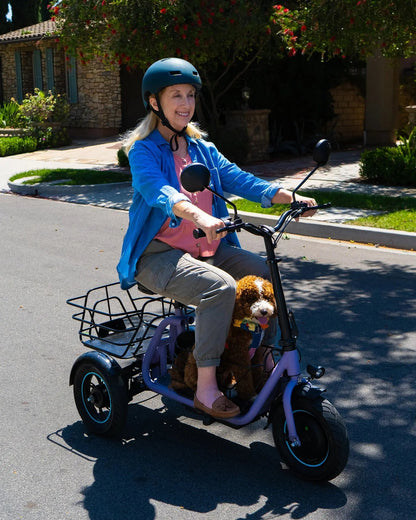 Gyroor   C5   Electric   Trike   –   1000W   Peak,   30-Mile   Range   &   Dual   Baskets