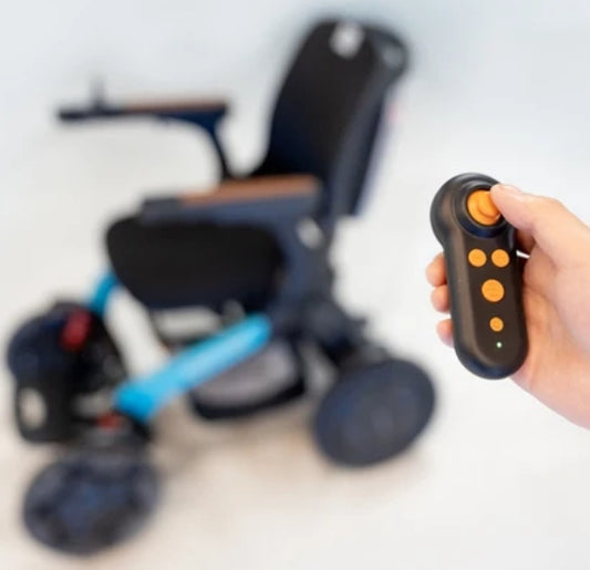 Robooter Anti-Theft Remote Control